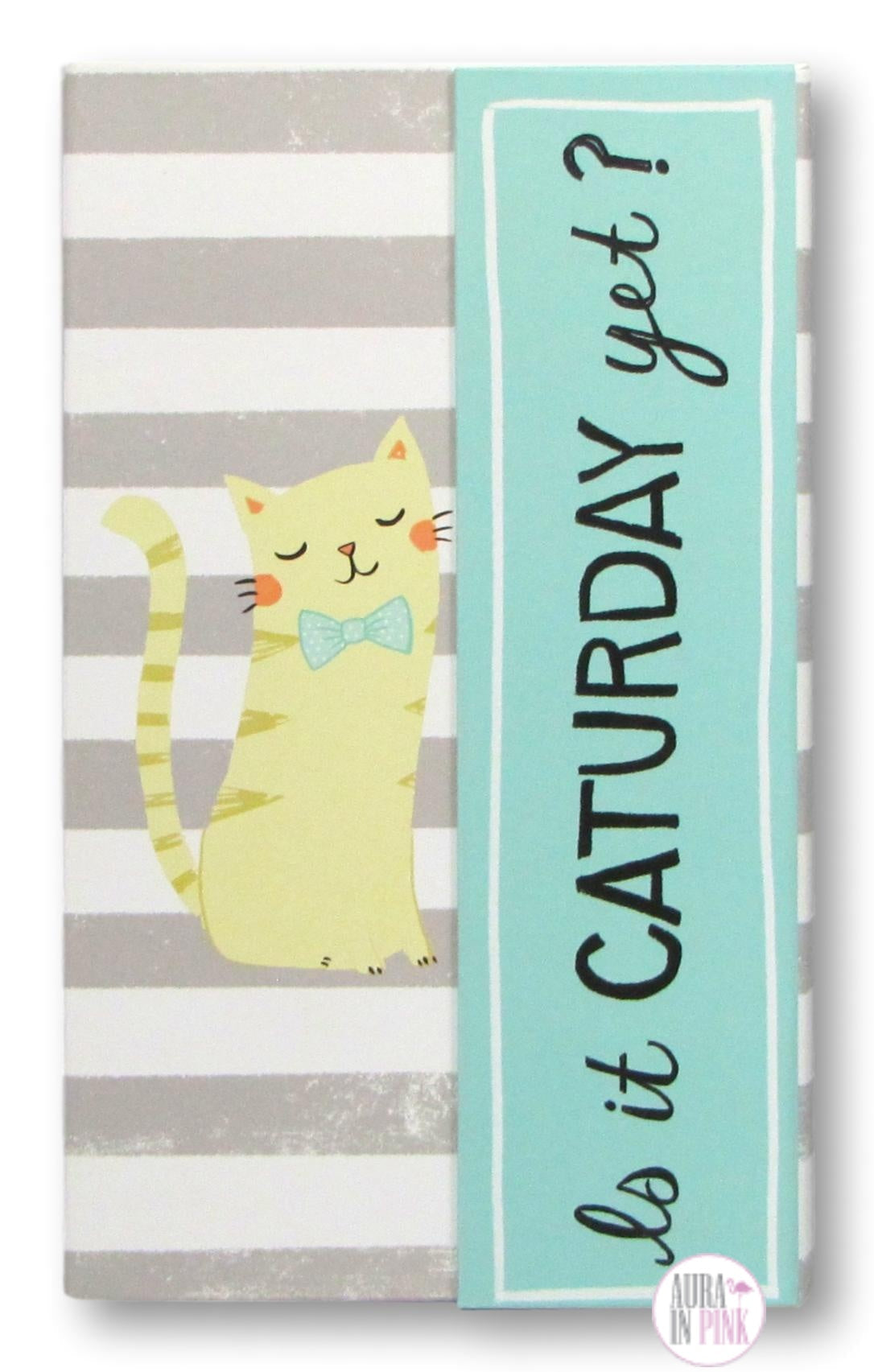 Tri-Coastal Designs Is It Caturday Yet? Notepads & Sticky Tab Notes Folder