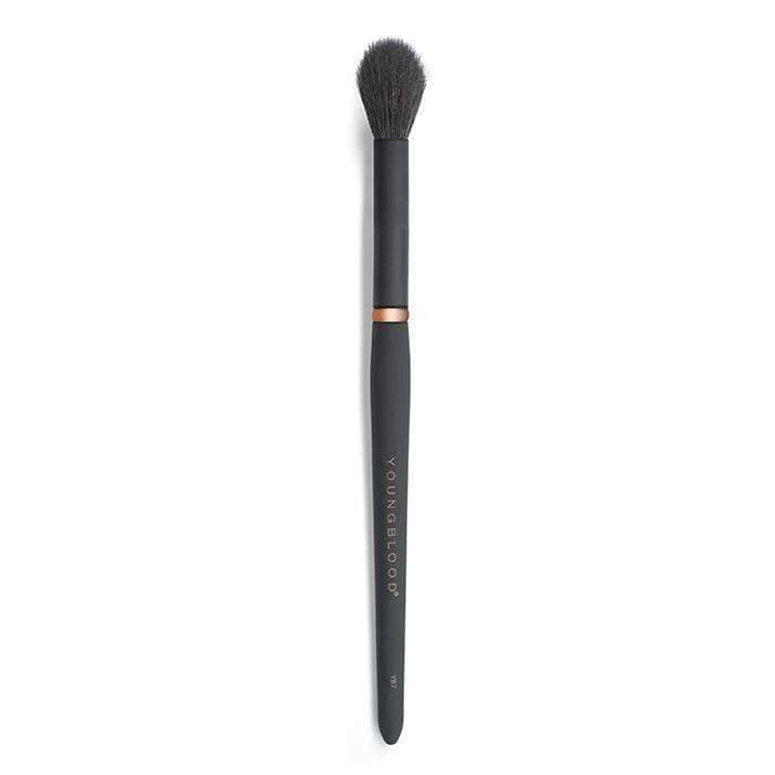 YB7 Highlight Luxe Brush