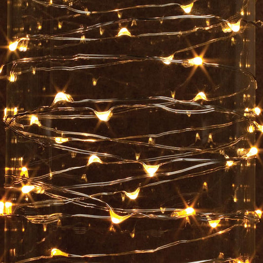 Everlasting Glow 38655 Warm White Micro 120-LED String Light, Silver Wire, 20'