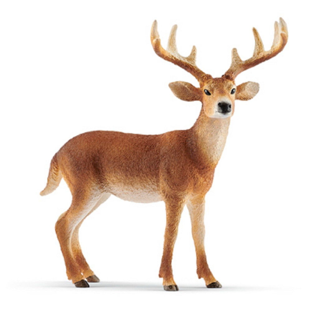 Schleich 14818 Tailed Buck, Vinyl Plastic, Brown & White