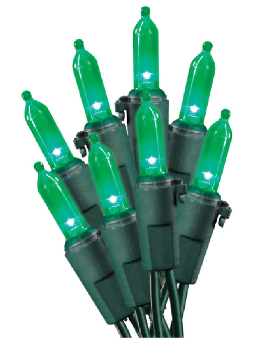 Sylvania W11L1260 LED Traditional Mini Light Set, Green