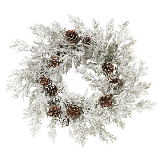 Worldwide Sourcing 2493140 Christmas Wreath, 22 Inch